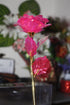 24k Gold Dipped Rose Flower | Eid Special Gift