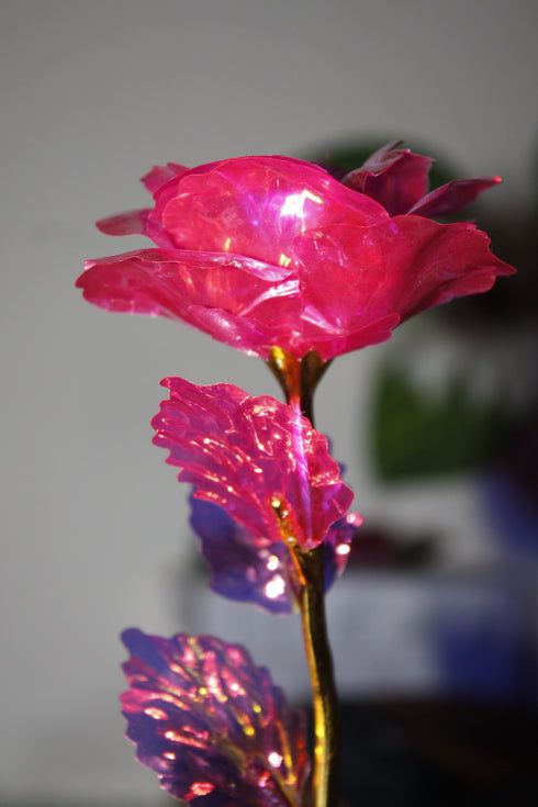 24k Gold Dipped Rose Flower | Eid Special Gift