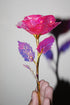 24k Gold Dipped Rose Flower | Eid Special Gift