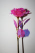 24k Gold Dipped Rose Flower | Eid Special Gift